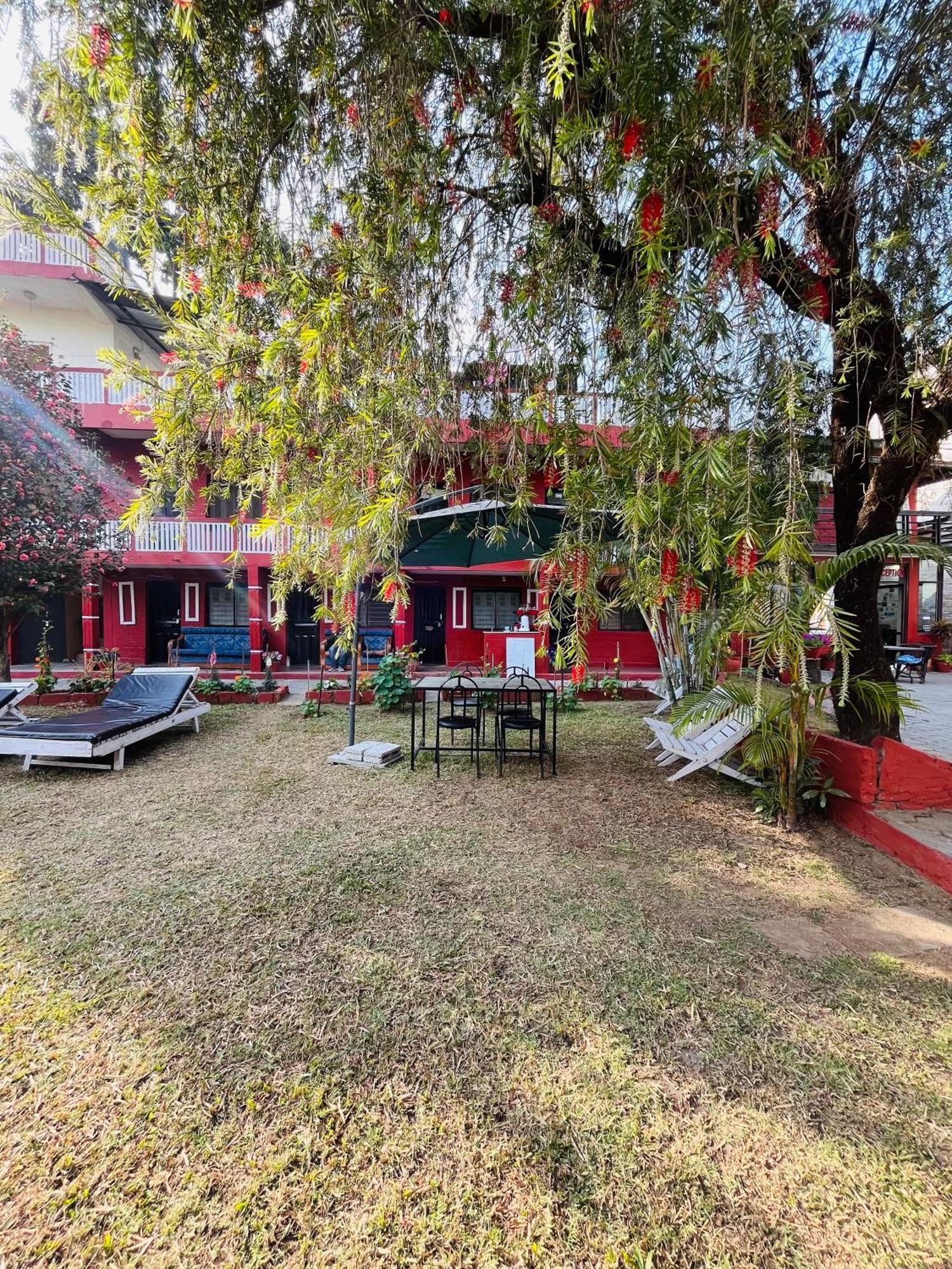Butterfly Lodge Pokhara Exterior foto